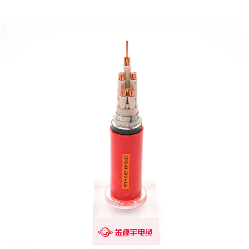 BTLY 0.6-1KV 5X25