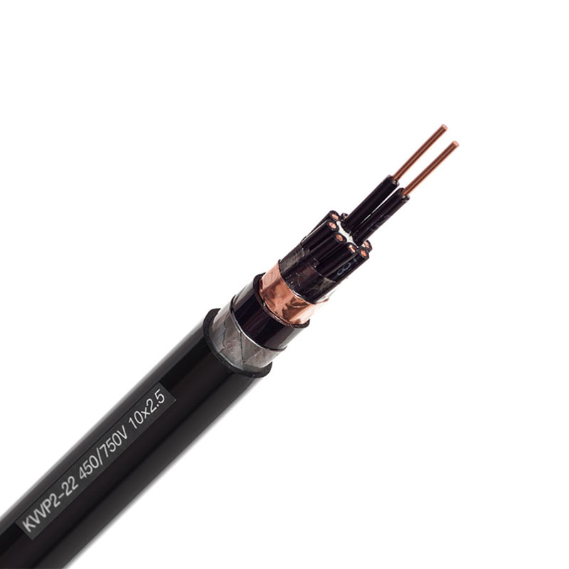 KVVP2-22 450-750V 10X2.5